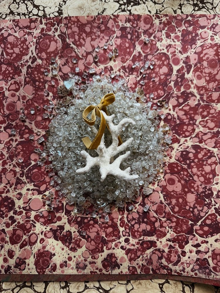 Coral Gilded Shell Ornament in Natural