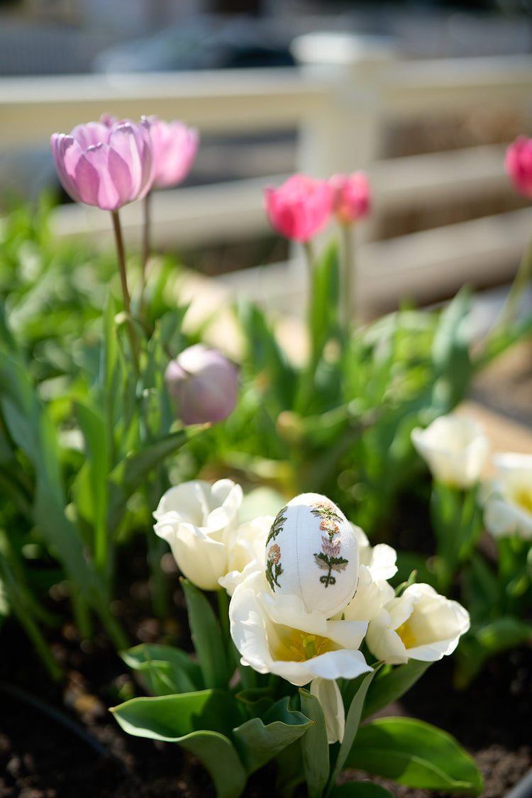 Everly Embroidered Egg Set