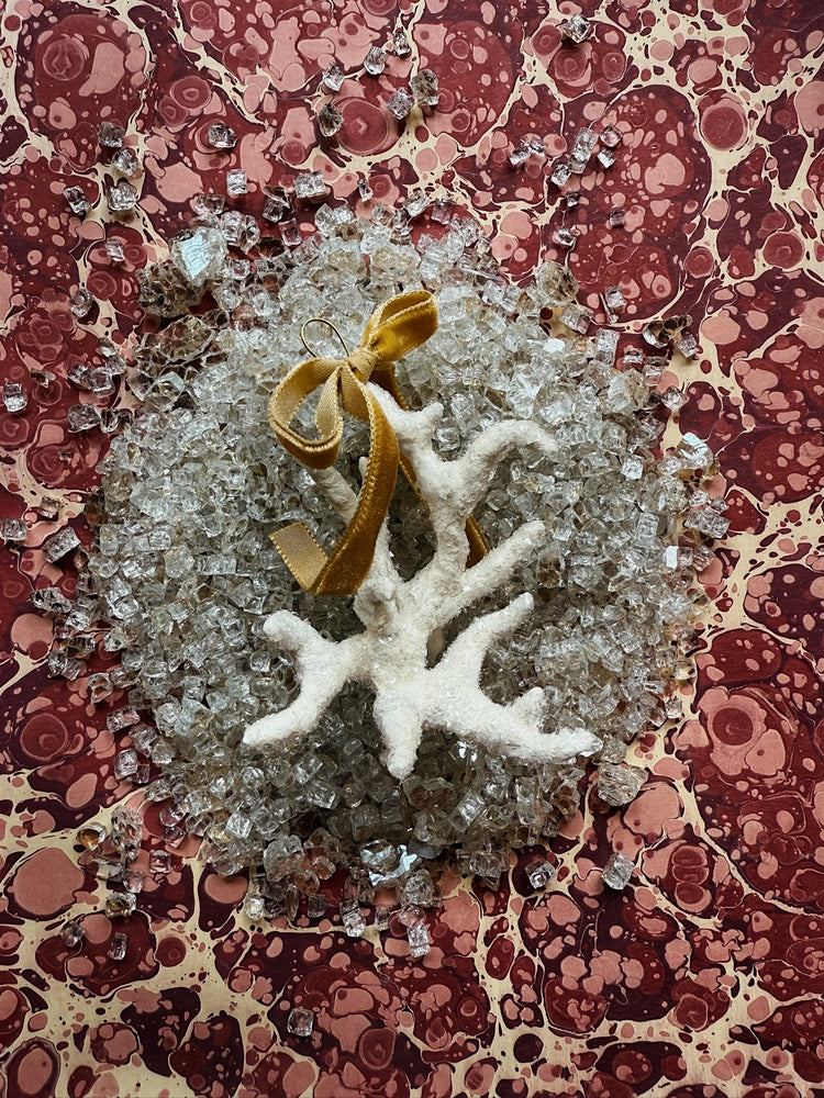 Coral Gilded Shell Ornament in Natural